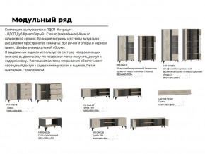 Гостиная Отис Дуб Крафт Серый/Антрацит в Шумихе - shumiha.magazinmebel.ru | фото - изображение 5