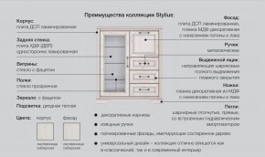 Прихожая Стилиус в Шумихе - shumiha.magazinmebel.ru | фото - изображение 2